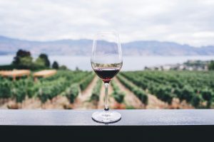 The Complete Paleo Guide to Alcohol
